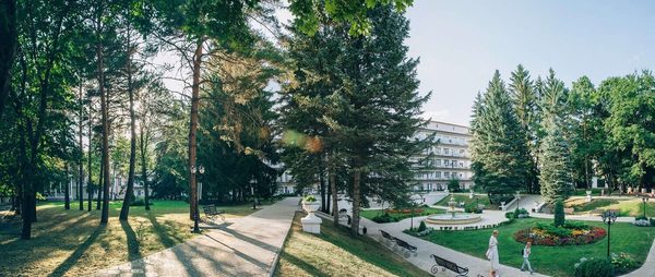 Аллея на территории санатория у Курортного парка — фото 1